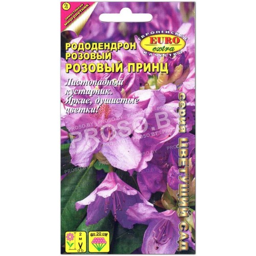 Рододендрон Розовый принц