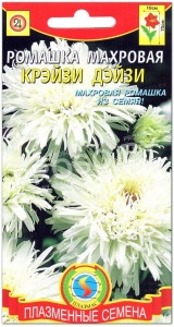 Ромашка (нивяник) Крейзи Дейзи
