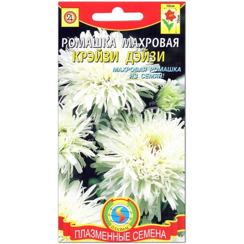 Ромашка (нивяник) Крейзи Дейзи