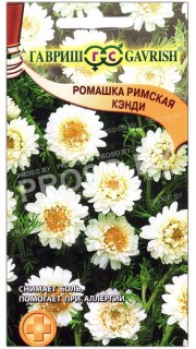 Ромашка римская Кэнди