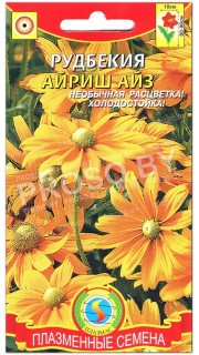 Рудбекия Айриш айз