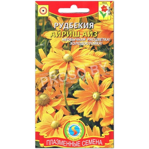 Рудбекия Айриш айз