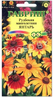 Рудбекия многолетняя Янтарь