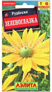 Рудбекия Зеленоглазка