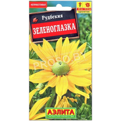 Рудбекия Зеленоглазка