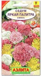 Седум Яркая палитра, смесь