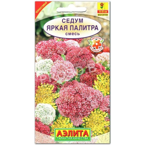 Седум Яркая палитра, смесь