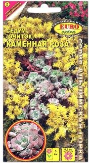 Седум (очиток) Каменная роза