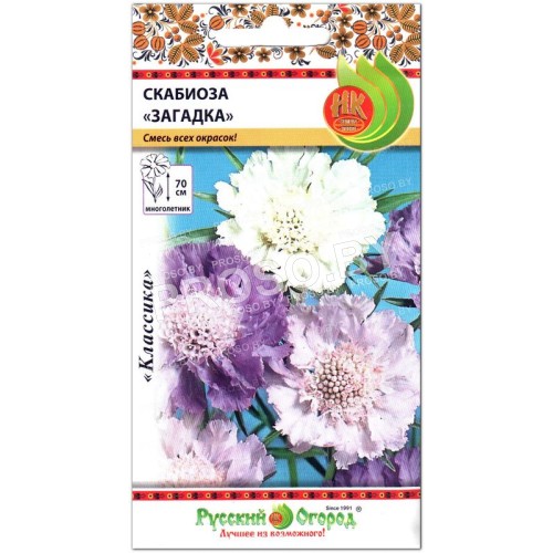 Скабиоза Загадка
