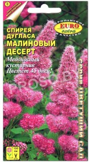 Спирея дугласа Малиновый десерт