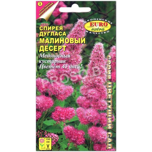 Спирея дугласа Малиновый десерт