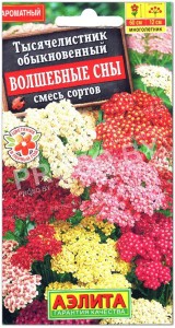 Тысячелистник обыкновенный Волшебные сны, смесь