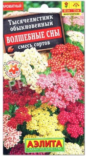 Тысячелистник обыкновенный Волшебные сны, смесь