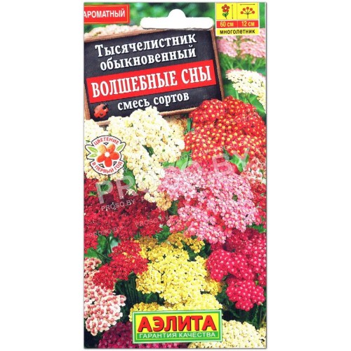 Тысячелистник обыкновенный Волшебные сны, смесь