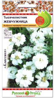 Тысячелистник Жемчужница