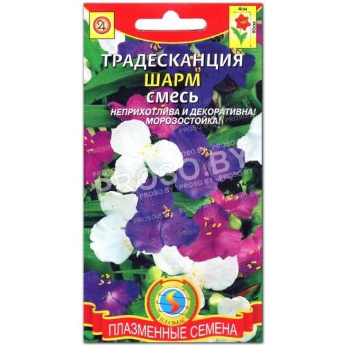 Традесканция Шарм, смесь