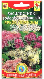 Василистник водосборолистный Яркие помпоны