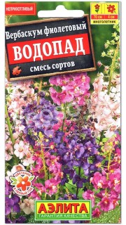 Вербаскум Водопад, смесь