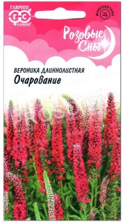 Вероника длиннолистная Очарование