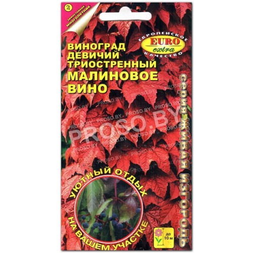 Виноград девичий Малиновое вино