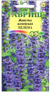 Живучка женевская Хелена