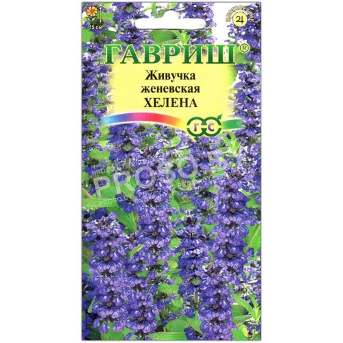 Живучка женевская Хелена
