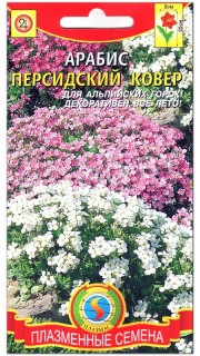 Арабис Персидский ковер