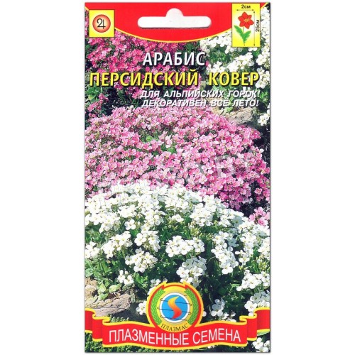 Арабис Персидский ковер
