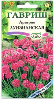 Армерия Луизианская