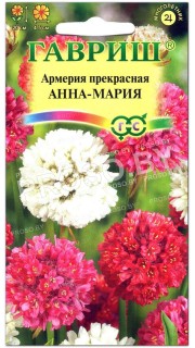 Армерия прекрасная Анна-Мария, смесь