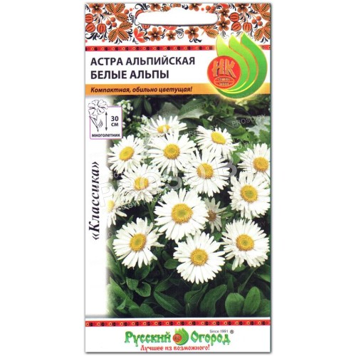 Астра альпийская Белые альпы