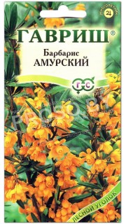 Барбарис Амурский