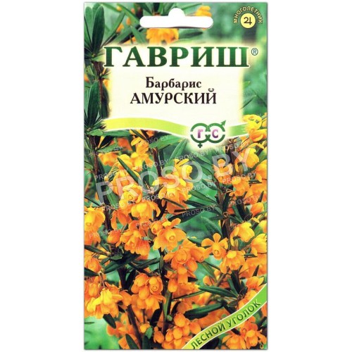 Барбарис Амурский