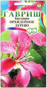 Баухиния Орхидейное дерево