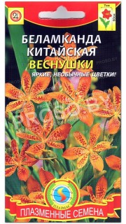 Беламканда китайская Веснушки