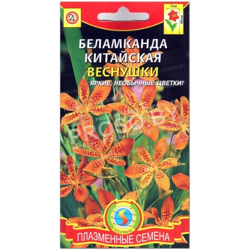 Беламканда Веснушки