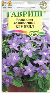 Броваллия великолепная Блу белл