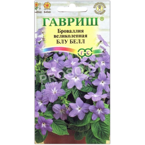 Броваллия великолепная Блу белл