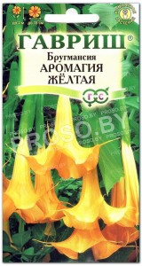 Бругмансия Аромагия желтая