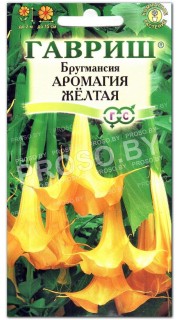 Бругмансия Аромагия желтая