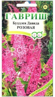 Буддлея Давида Розовая