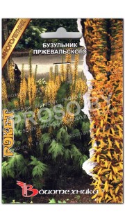 Бузульник Пржевальского рокет