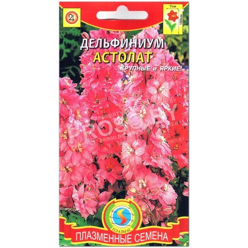 Дельфиниум Астолат