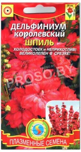 Дельфиниум королевский Шпиль