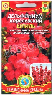 Дельфиниум королевский Шпиль