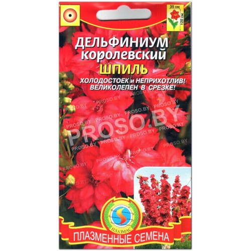 Дельфиниум королевский Шпиль