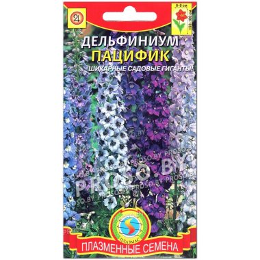 Дельфиниум Пацифик, смесь