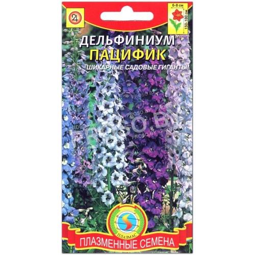 Дельфиниум Пацифик, смесь