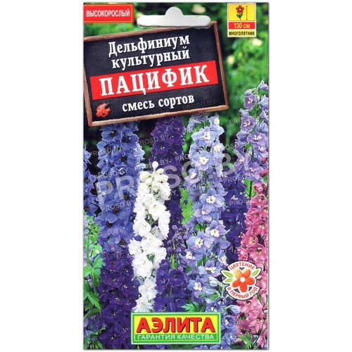 Дельфиниум Пацифик, смесь-1