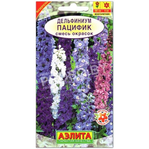 Дельфиниум Пацифик, смесь-2